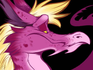 Pink dragons and stuff