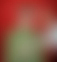 Someone call Animal Control