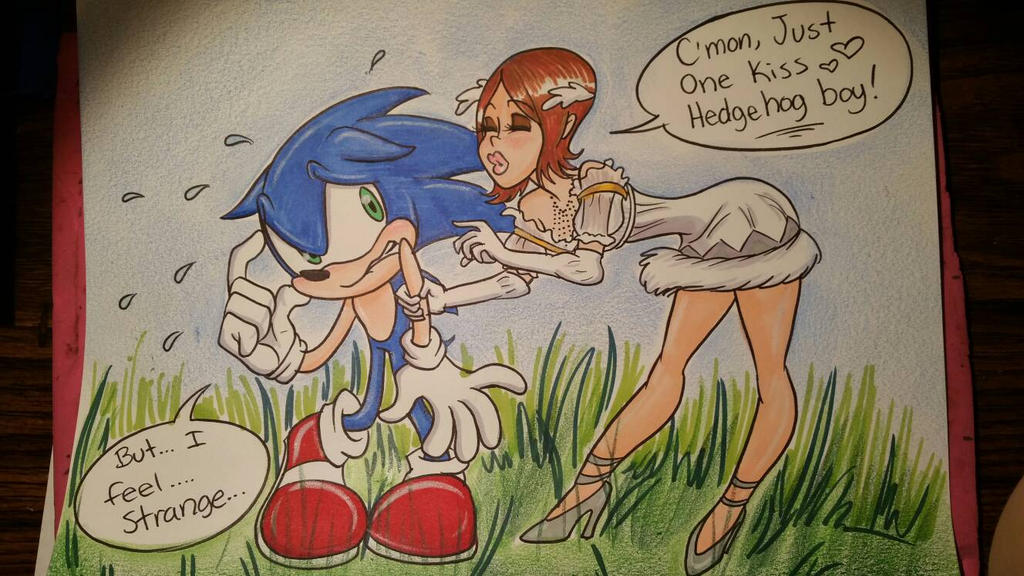 Sonic and Elise by chromedome113 on Newgrounds