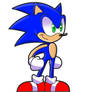 Sonic Sprite 1