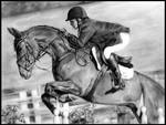 Eventing Collection: Show Jumping by Define-X