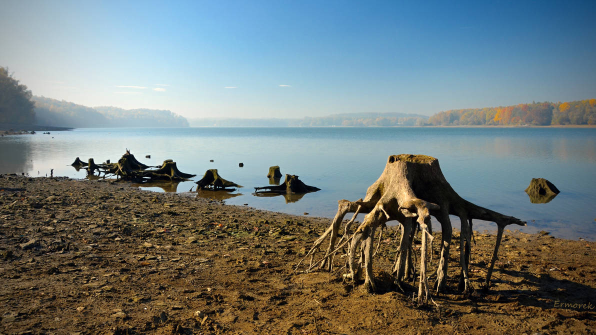 Dead Ents by ermorek Dead Ents by ermorek