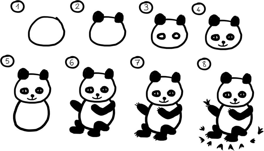 How to draw a Panda by MystBoy on DeviantArt