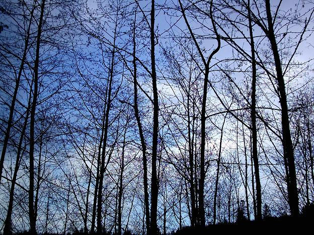 reach for the sky by aGirlNamedKate on DeviantArt