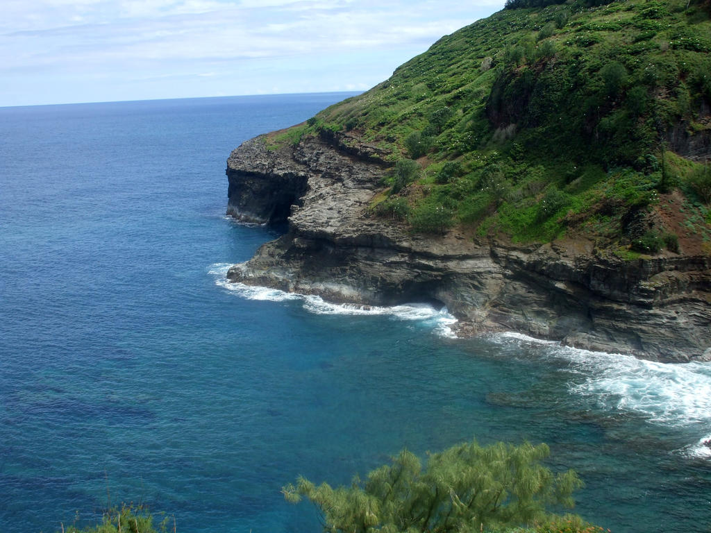 A View From Kilauea Point