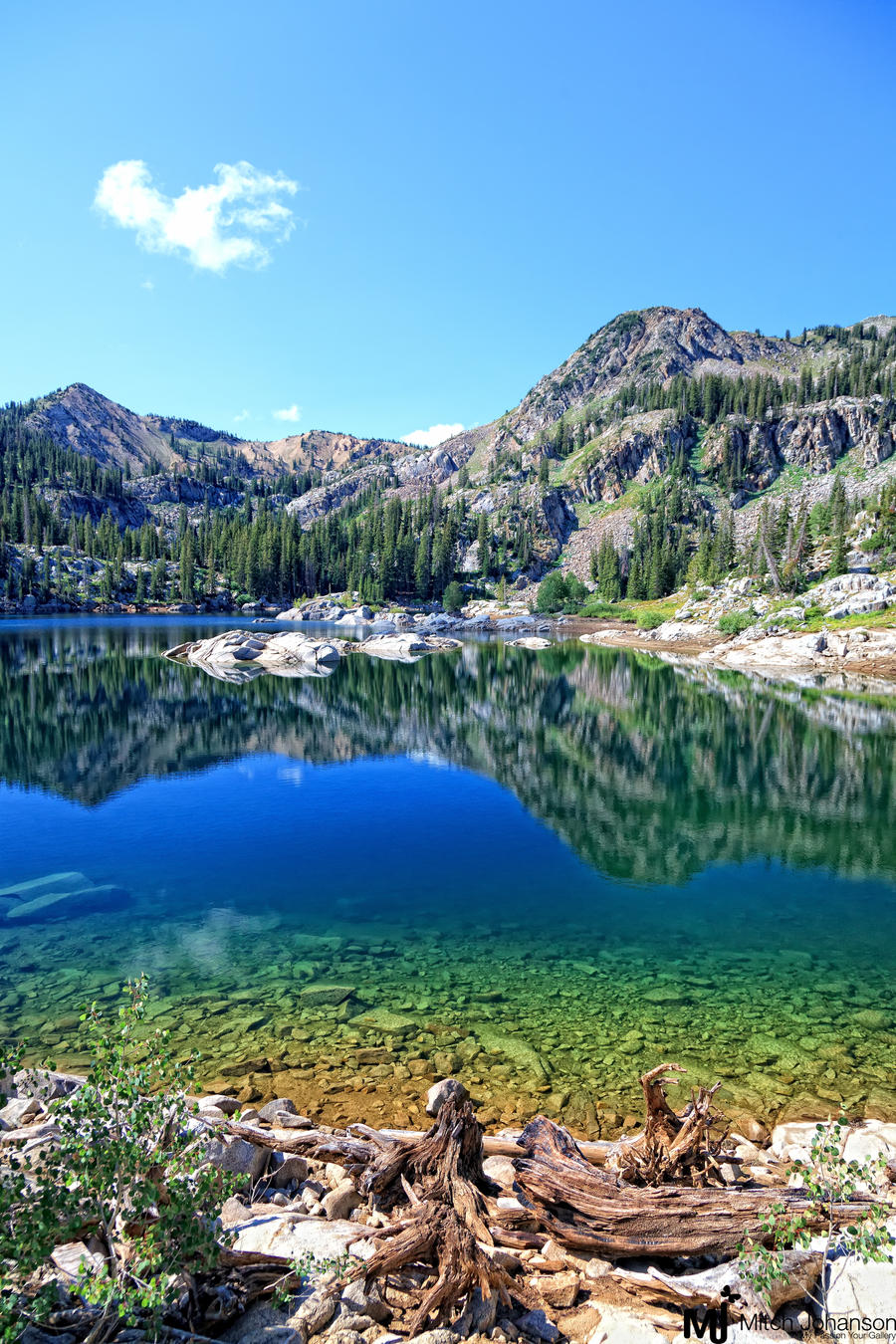 The Blue Waters of Lake Mary