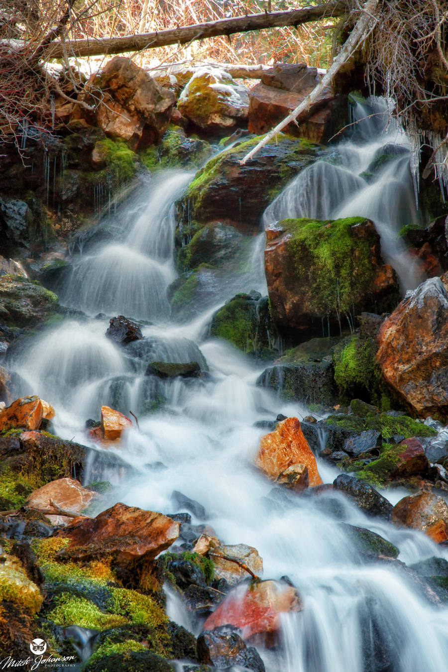 Springtime Waterfall