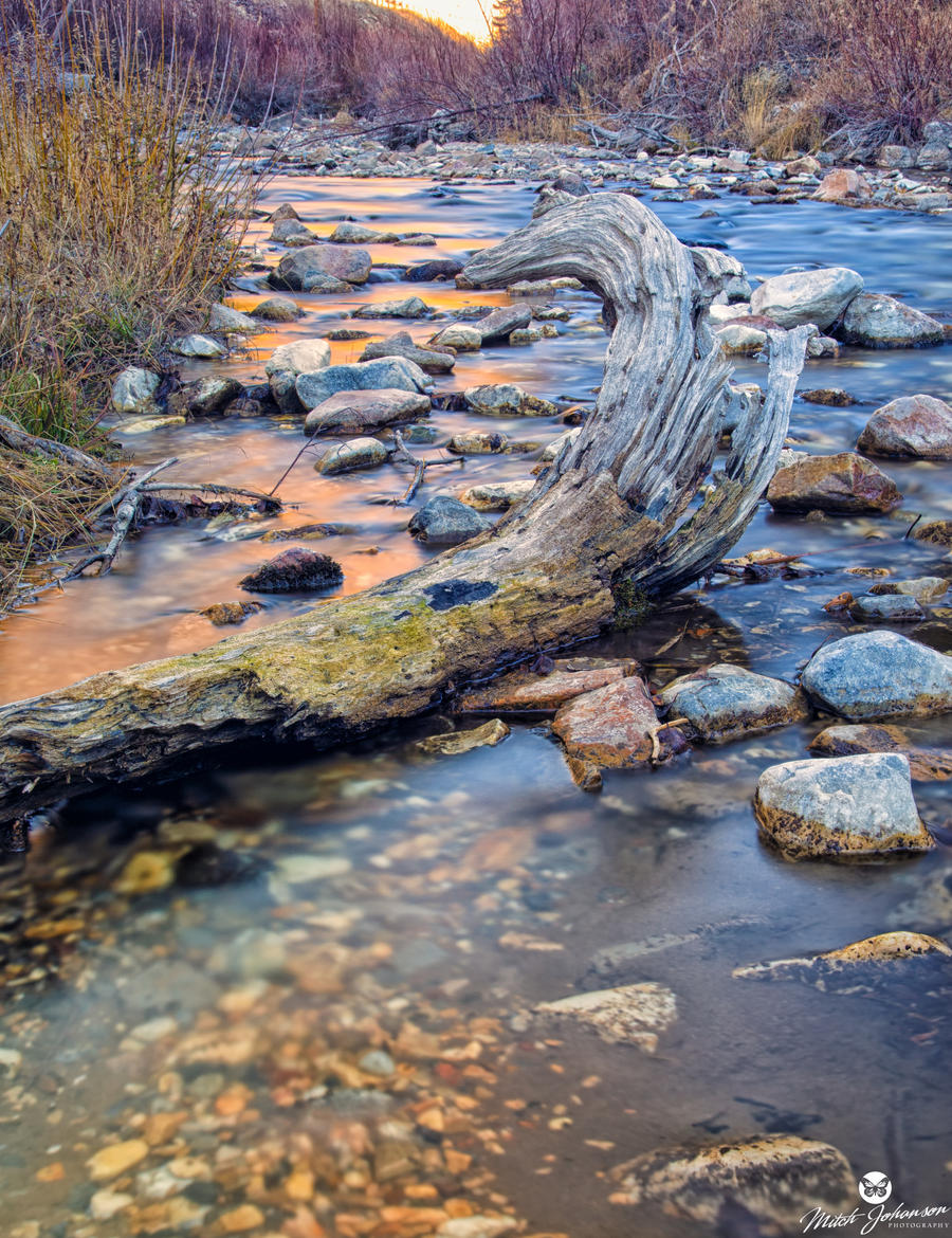 The Twisted Water Log