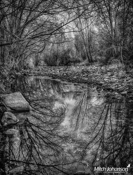 Reflections on a Still River BW