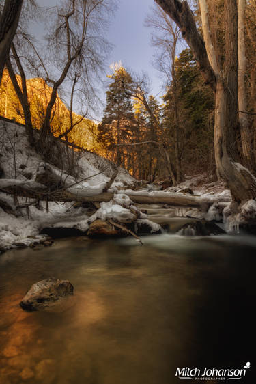 The Glow Under the Rock 