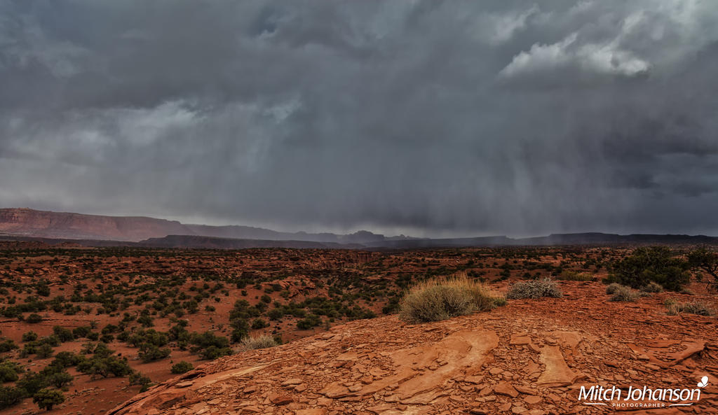 The Storm Across the Reef