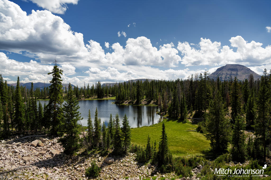 View of Butterfly Lake