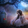 The Nightingale and the Rose