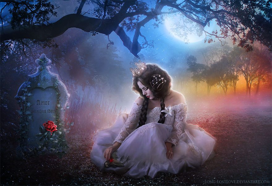 The Nightingale and the Rose by ChristabelleLAmort The Nightingale and the Rose by ChristabelleLAmort