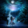 Stargazers