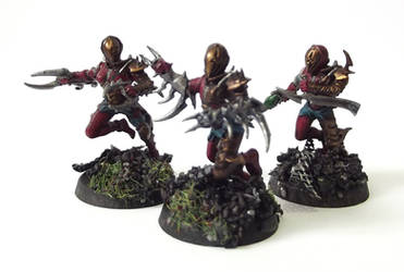 Dark Eldar Wyches