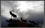 on the mount by candysamuels