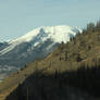 runaway truck ramp...