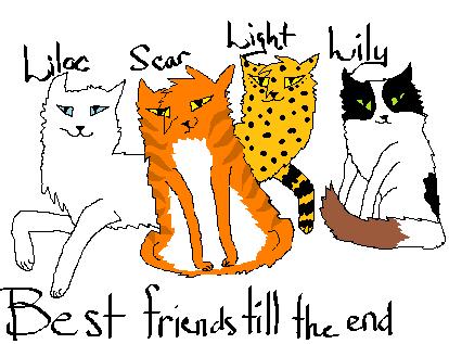 The four best buddies of thunderclan