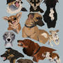 More Dog Doodles