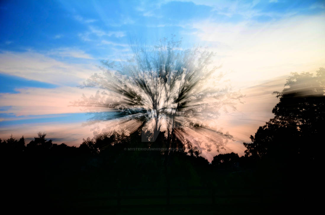 Tree Splashes Tree Splash by MysteriousWhisper on DeviantArt
