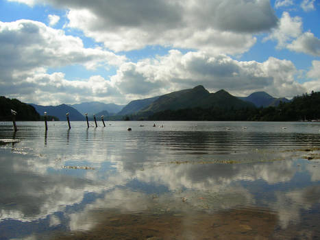 The Mirrored Lake