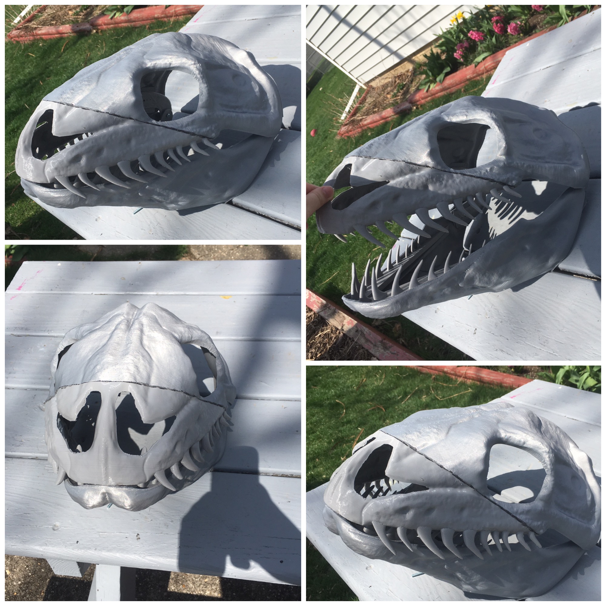 Ball python skull 3D print by DragonArtist15 on DeviantArt