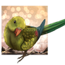 Rock pebbler parakeet