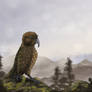 Perched Kea