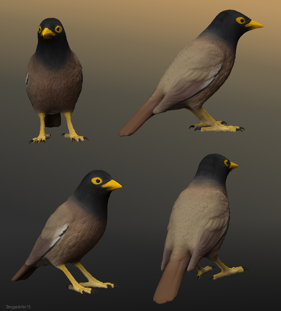 Colossal Myna Common Myna Figurine by DragonArtist15 on DeviantArt