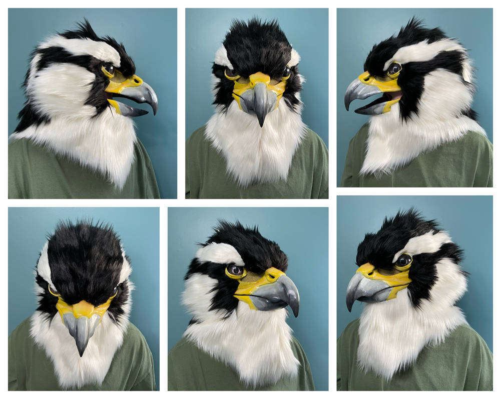 Realistic Aplomado Falcon Mask by DragonArtist15 on DeviantArt