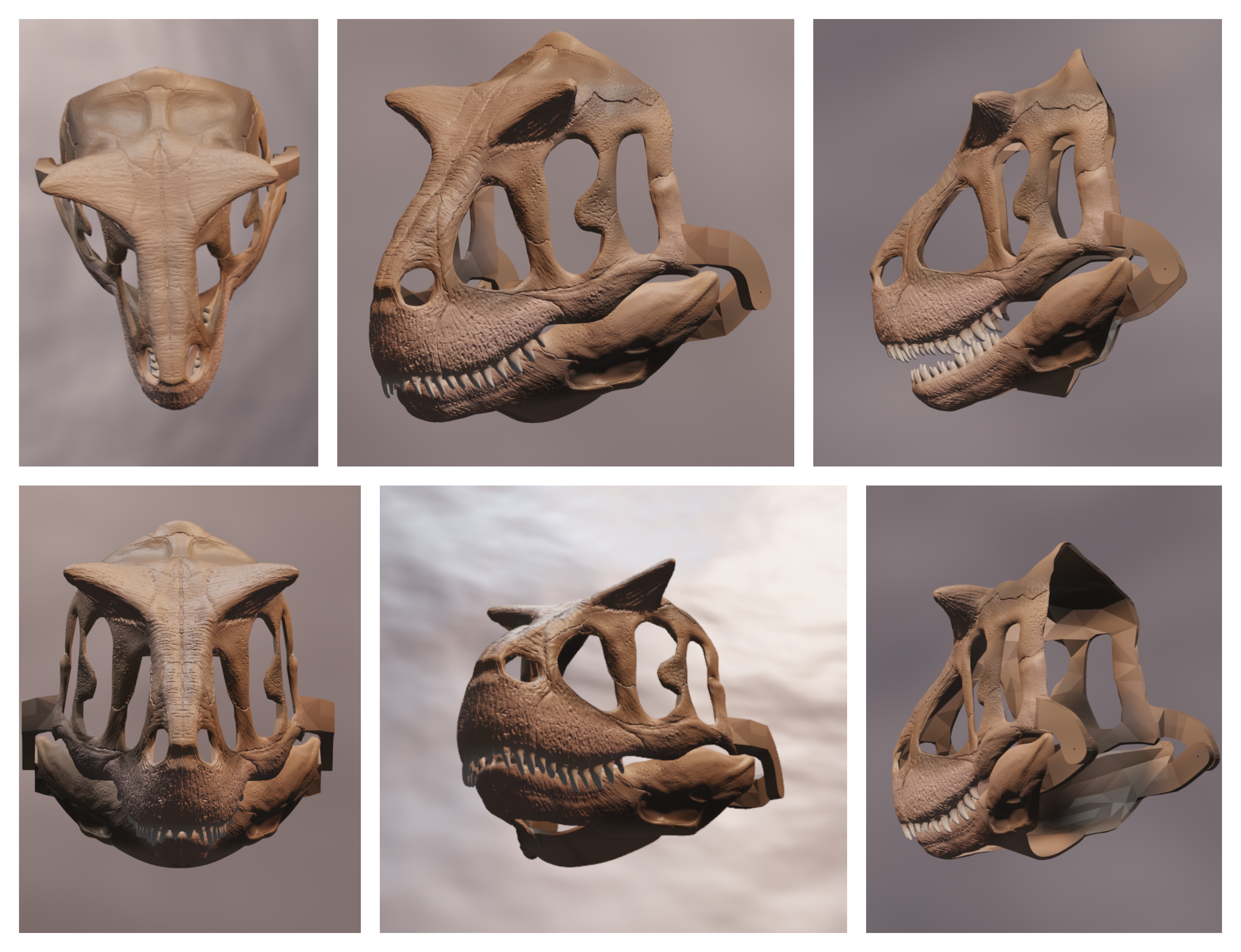 Carnotaurus Skull Mask 3D Renders By DragonArtist15 On DeviantArt carnotaurus-skull-mask-3d-renders-by-dragonartist15-on-deviantart