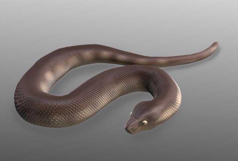 Olive Python Human Olive Python 3D Model by DragonArtist15 on DeviantArt