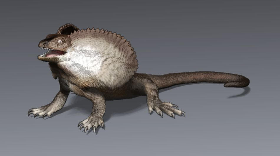 Frilled Lizard Digital Sculpt by DragonArtist15 on DeviantArt
