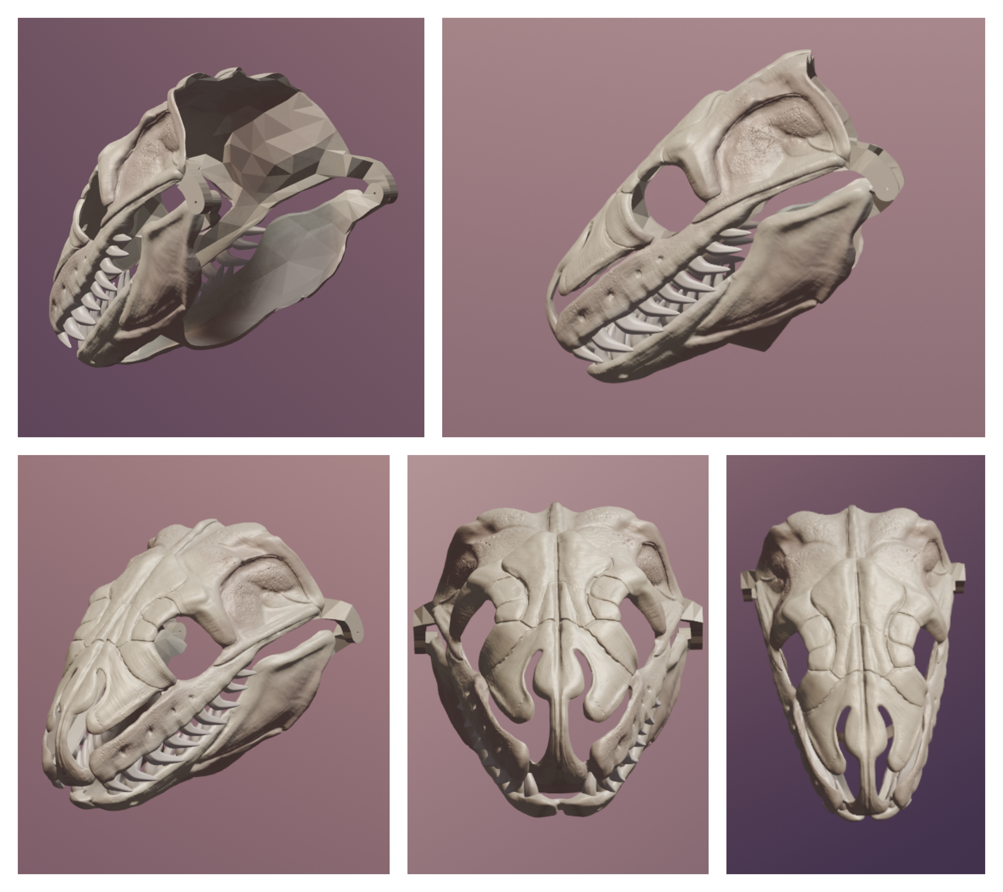 Python Skull Side View Burmese Python Skull Mask Renders by DragonArtist15 on DeviantArt