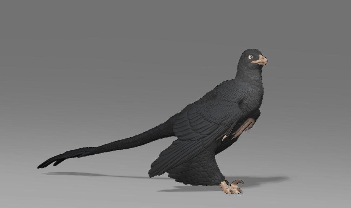 Microraptor Figurine 3D model by DragonArtist15 on DeviantArt