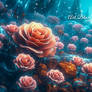 Pink Roses in Underwater Style Scene