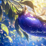 Eggplant Oasis - Food26