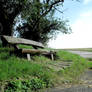 bench