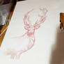 Deer sketch