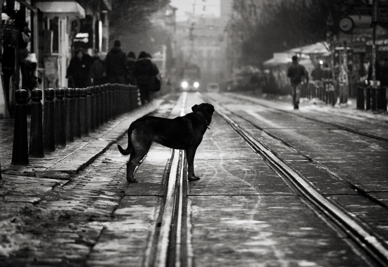 stories from the city 1 by pstoev