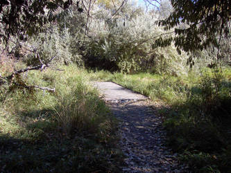 Wooded path complete with bridge