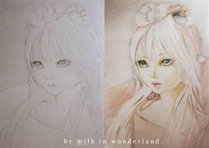 BJD drawing