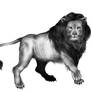 Leo - the Lion