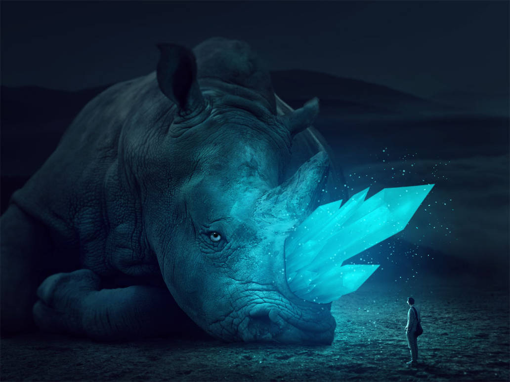 RHINO by marinapikoso on DeviantArt