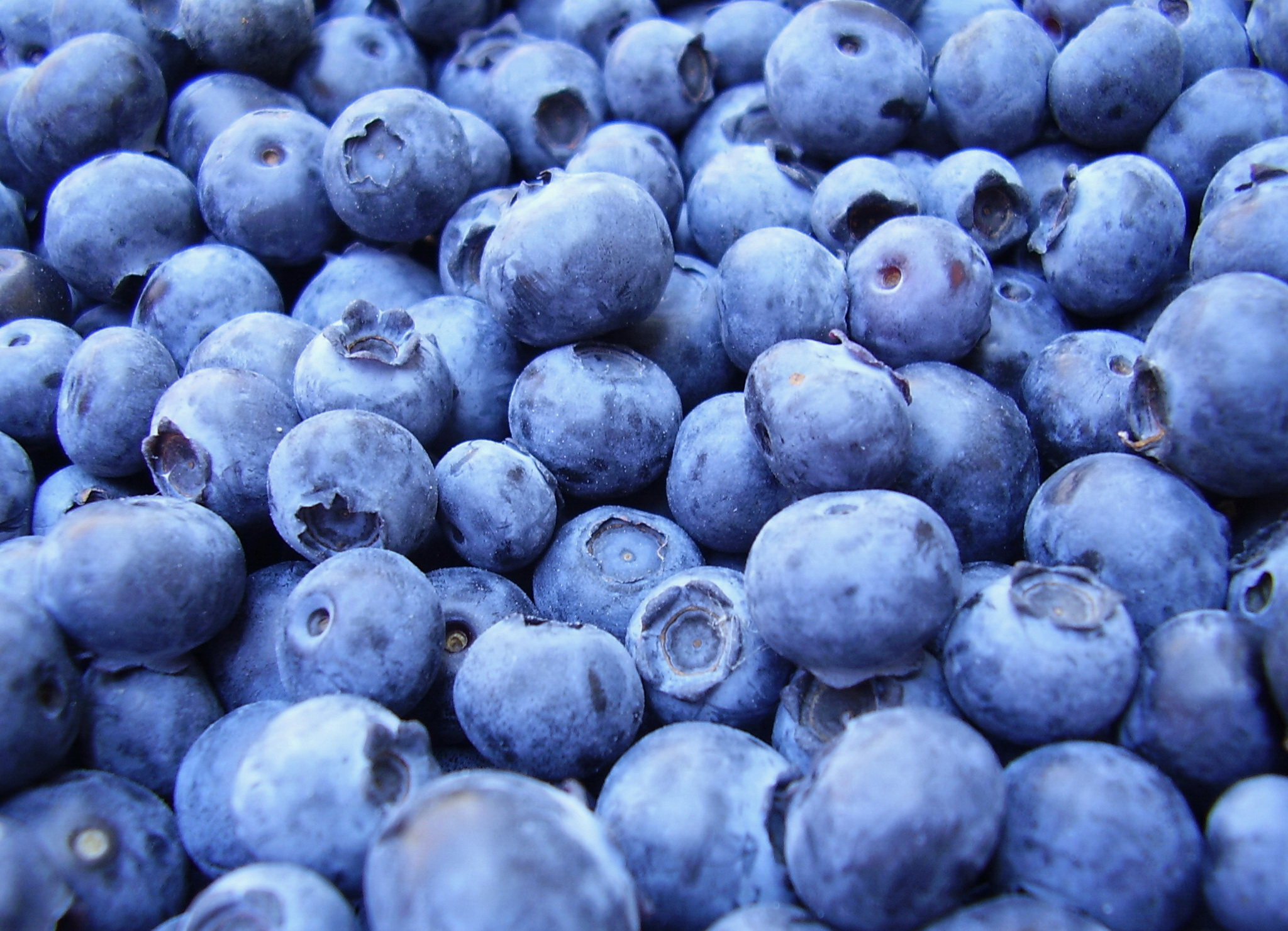 Blueberries