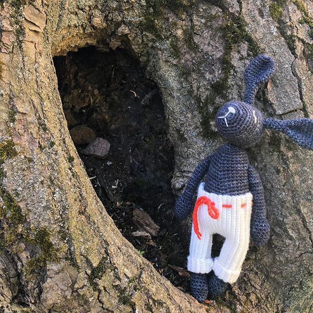 Black Jack Rabbit by AnastasiaMoroz on DeviantArt