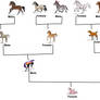 My Equine Family Tree