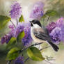 Chickadee in the Lilacs 5 x 5