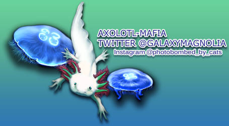 Axolotl of bonds in general store Axolotl of bonds in general store